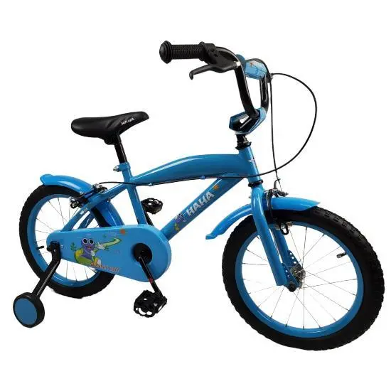 Sunny Day Boys 16 Inch Push Kids Bike With Training Wheels Blue 1