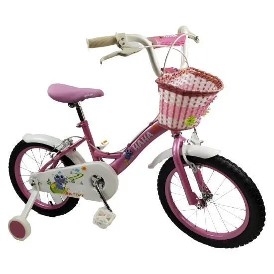 Sunny Day Girls 16 Inch Push Kids Bike With Training Wheels 1