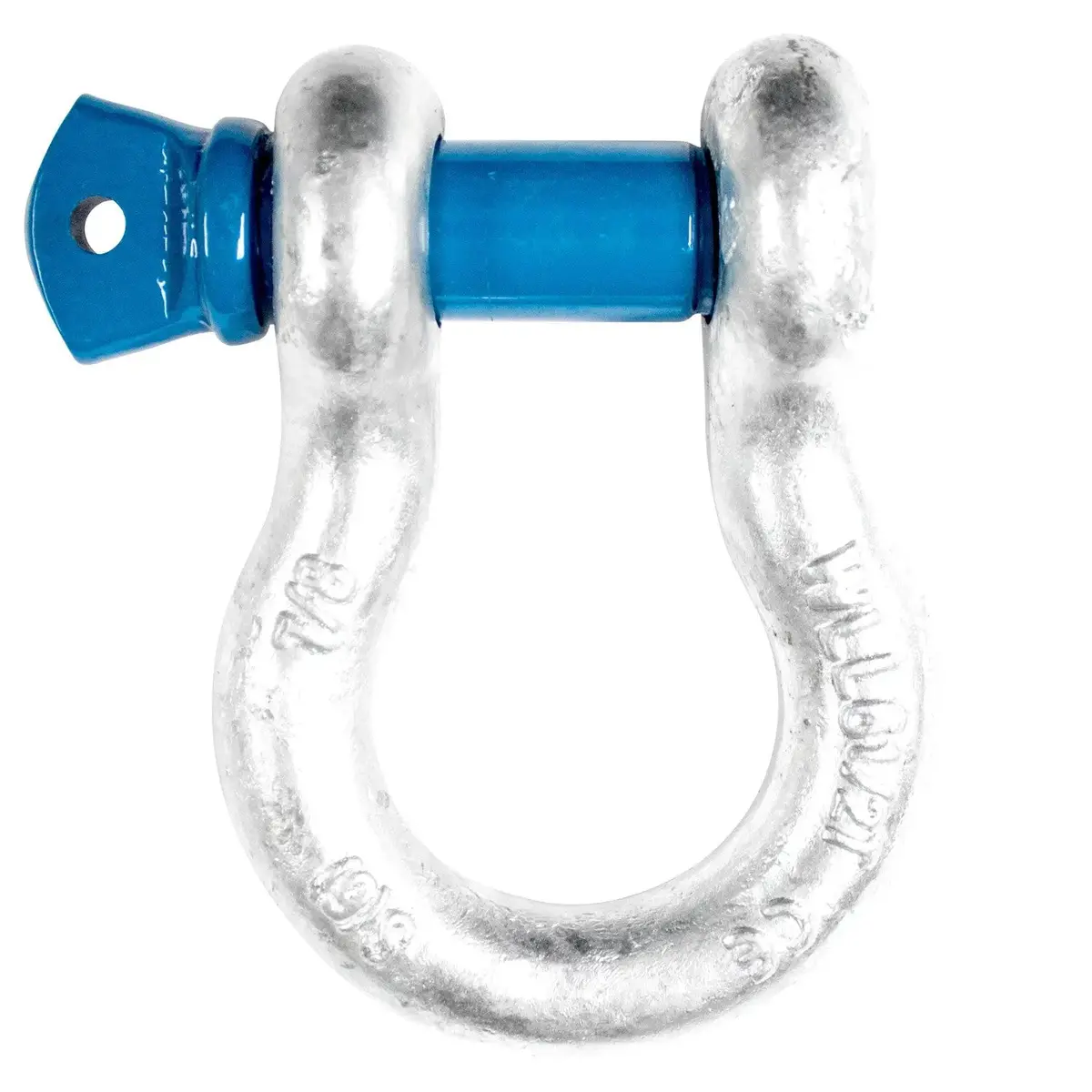 7/8" D Ring - Bow Shackle 1