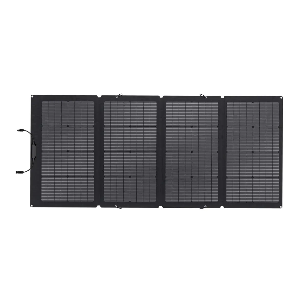 Ecoflow 220W Bifacial Solar Panel 1