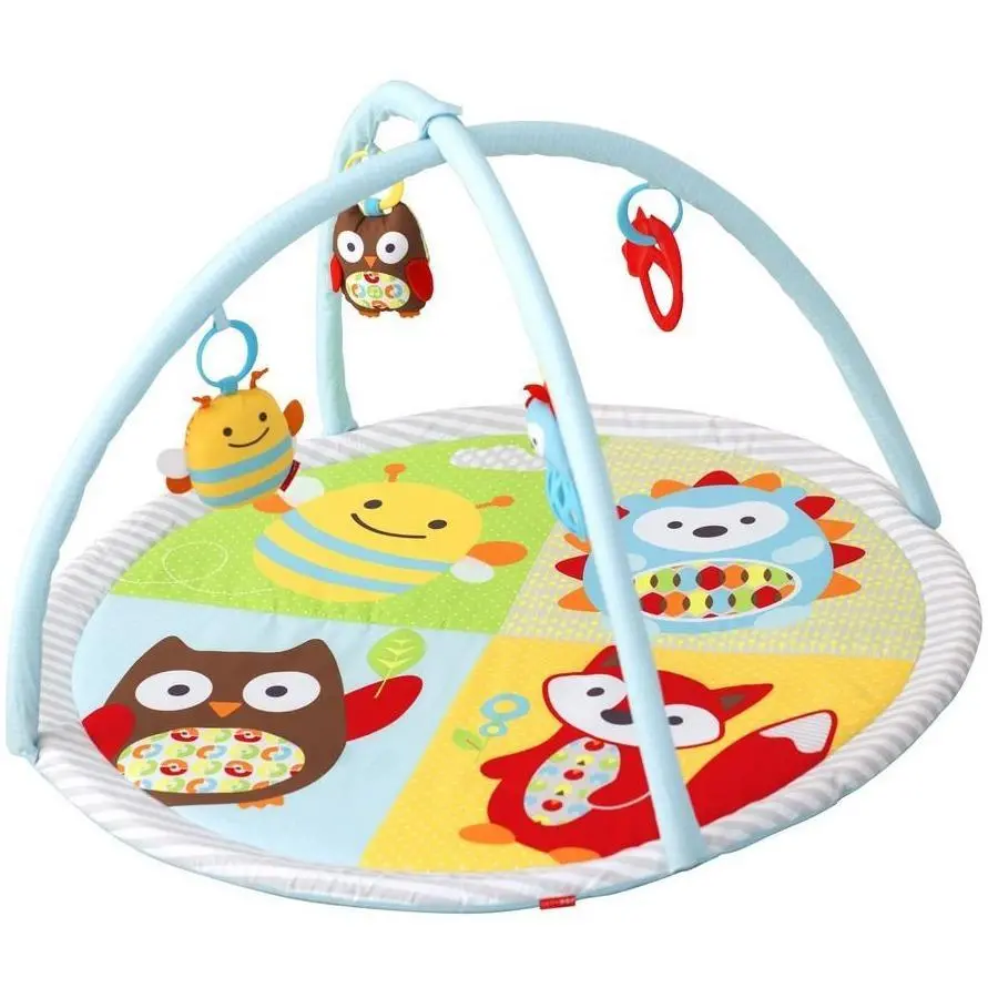 Skip Hop Explorer & More Funscape Gym 1