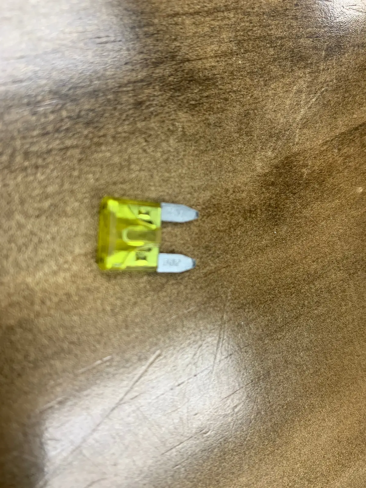 Fuse 20 Amp Blade Mini Yw 1
